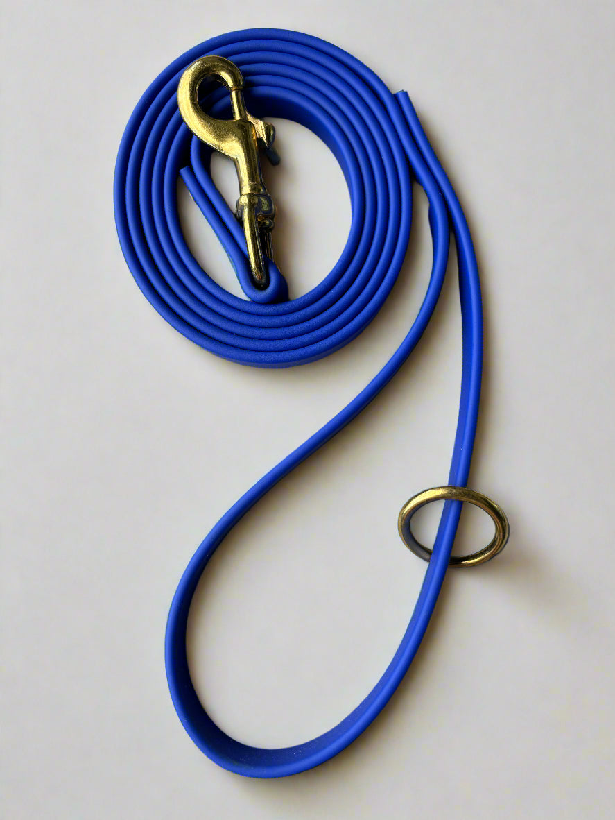 6-Foot Waterproof BioThane® Dog Leash - Handmade in the USA