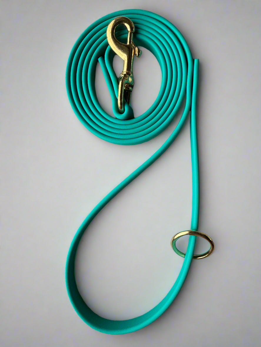 6-Foot Waterproof BioThane® Dog Leash - Handmade in the USA