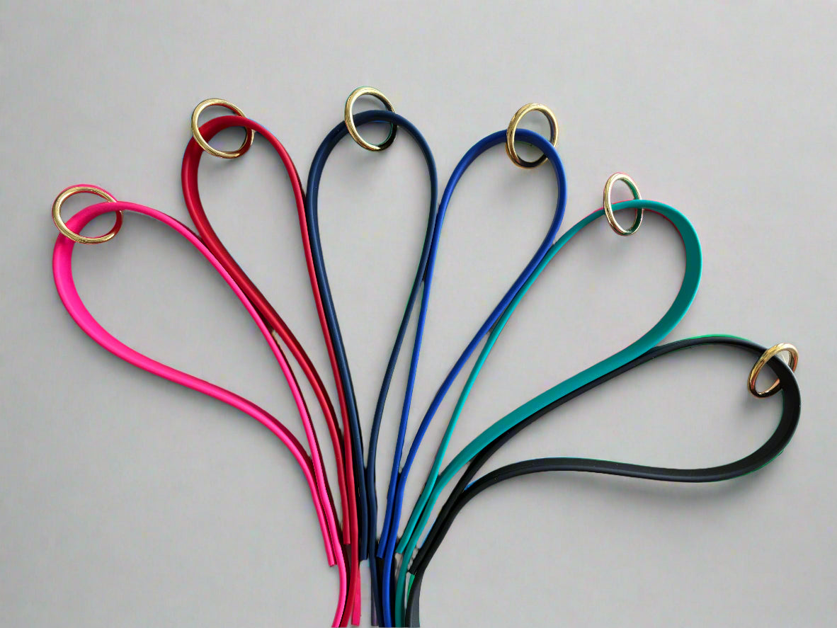 6-Foot Waterproof BioThane® Dog Leash - Handmade in the USA