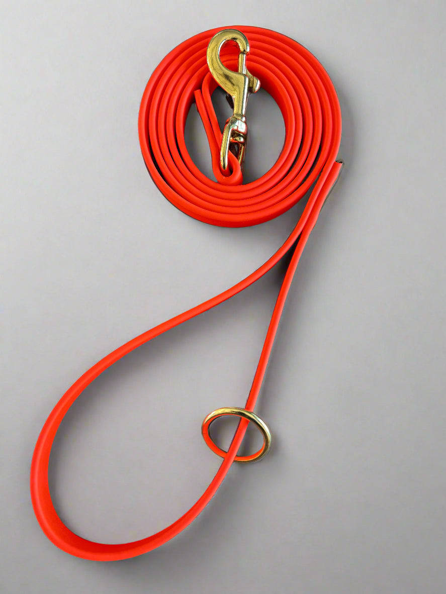 6-Foot Waterproof BioThane® Dog Leash - Handmade in the USA