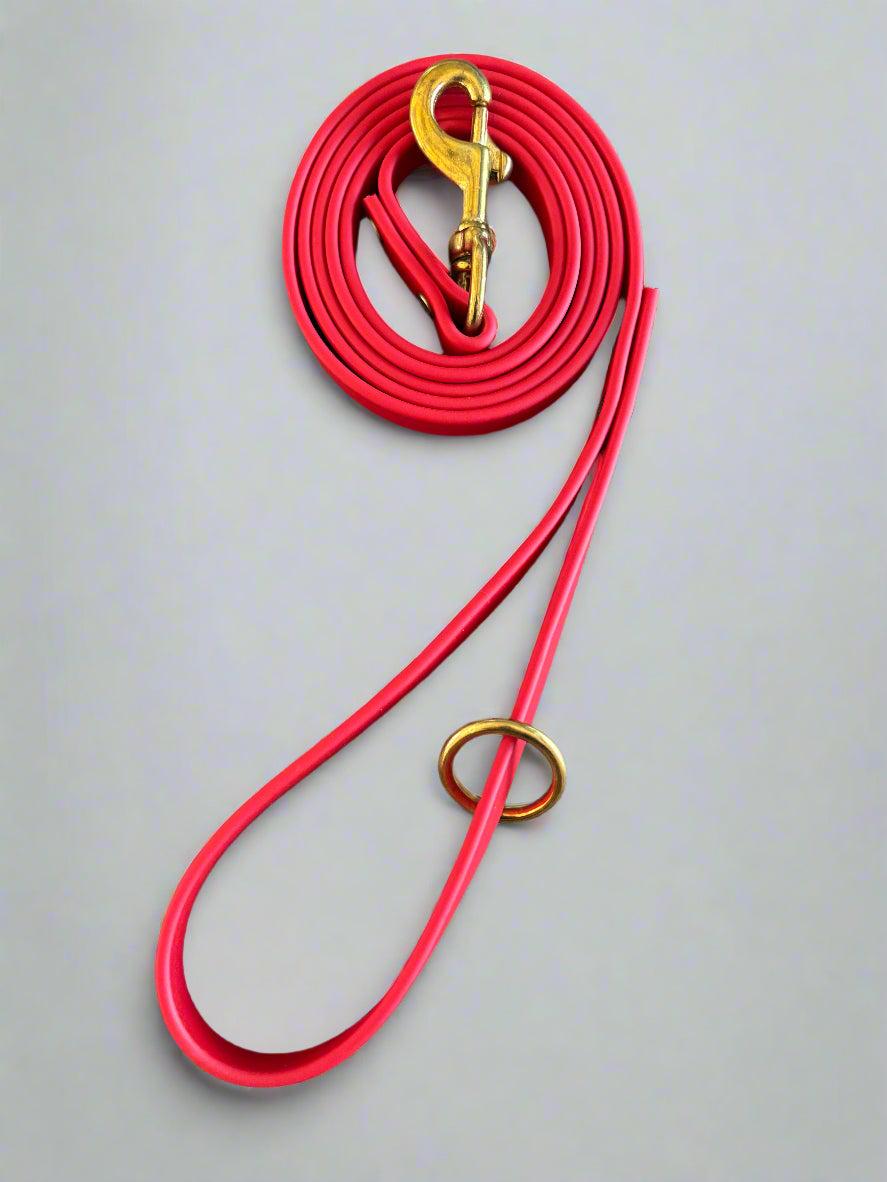 6-Foot Waterproof BioThane® Dog Leash - Handmade in the USA