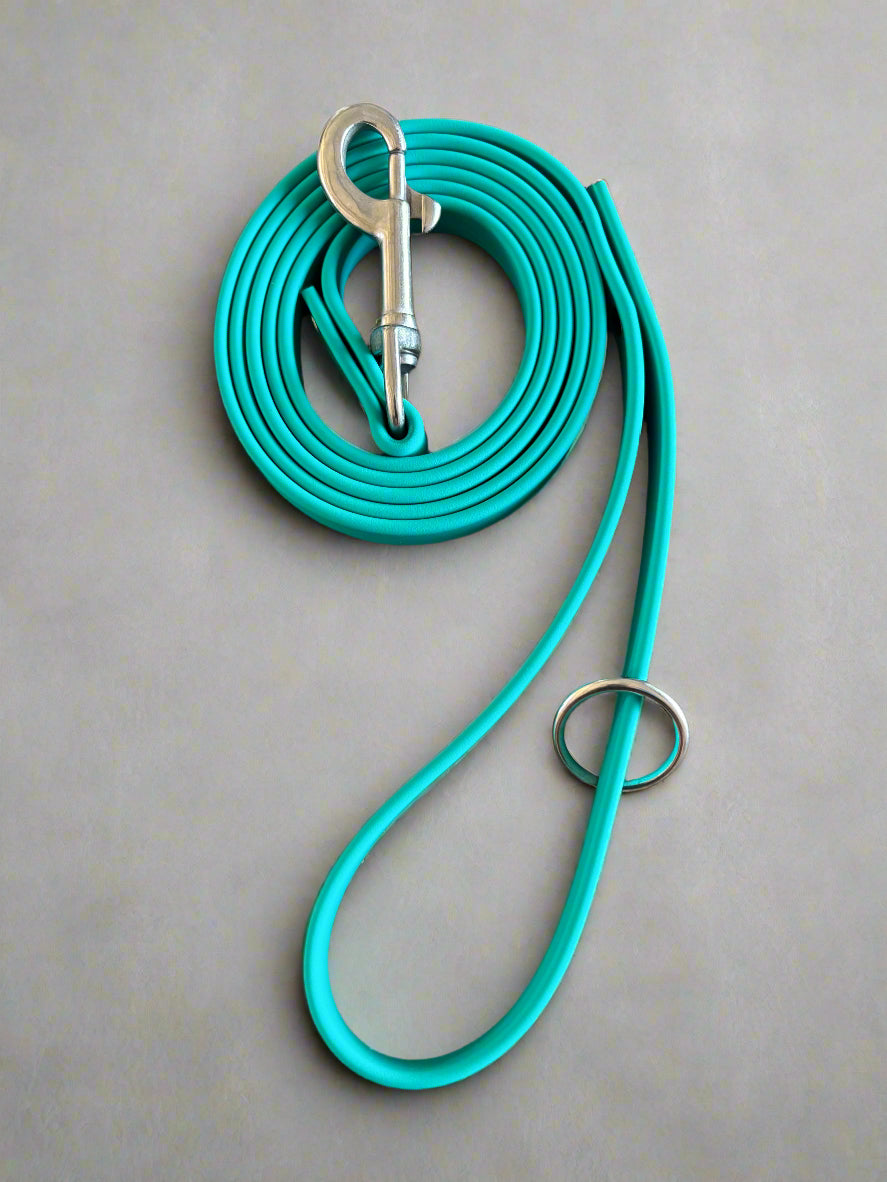 6-Foot Waterproof BioThane® Dog Leash - Handmade in the USA
