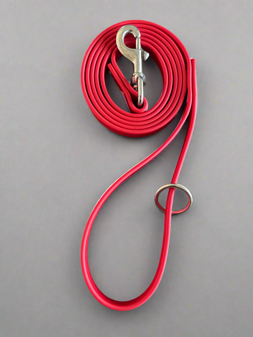 6-Foot Waterproof BioThane® Dog Leash - Handmade in the USA