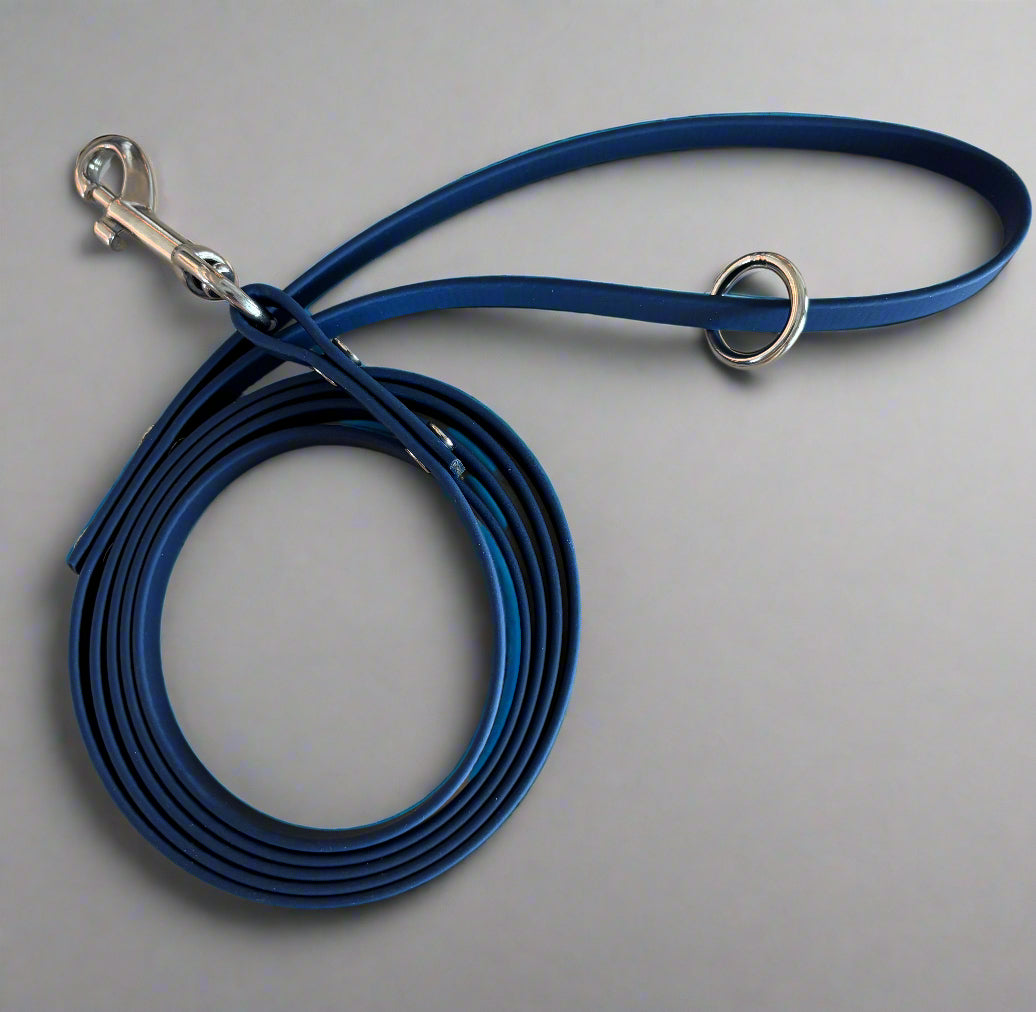 1/2" Wide 6-Foot Waterproof BioThane® Dog Leash (SMALL BREEDS)- Handmade in the USA | Maintenance-Free & Odor-Resistant