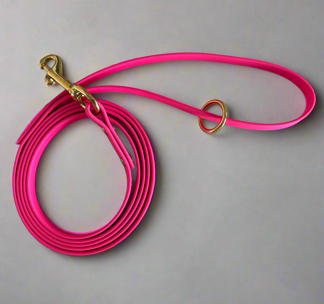 1/2" Wide 6-Foot Waterproof BioThane® Dog Leash (SMALL BREEDS)- Handmade in the USA | Maintenance-Free & Odor-Resistant