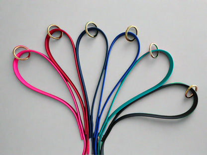 6-Foot Waterproof BioThane® Dog Leash - Handmade in the USA