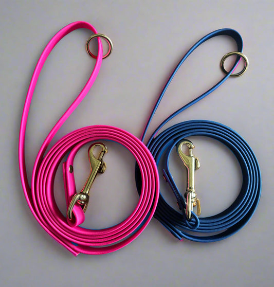 1/2" Wide 6-Foot Waterproof BioThane® Dog Leash (SMALL BREEDS)- Handmade in the USA | Maintenance-Free & Odor-Resistant